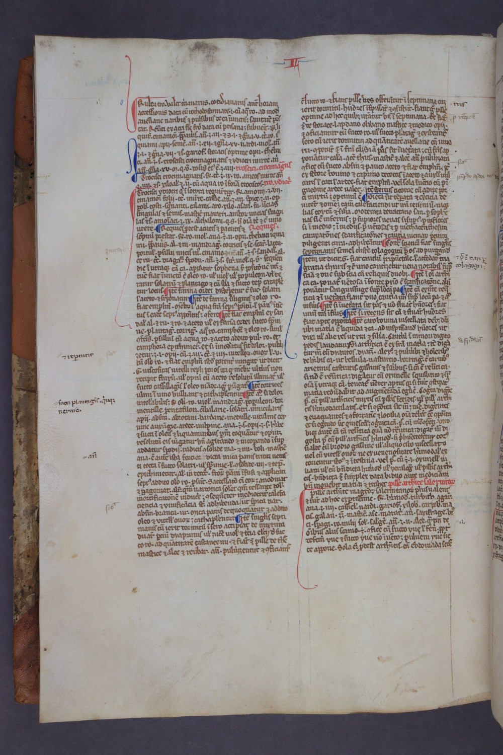 Folio 144 verso